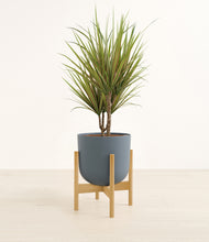 Load image into Gallery viewer, Iron Gray stand:bamboo