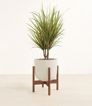 Load image into Gallery viewer, Natural Bamboo stand:walnut