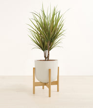 Load image into Gallery viewer, Natural Bamboo stand:bamboo