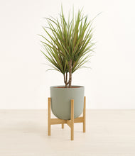 Load image into Gallery viewer, Sage Green stand:bamboo