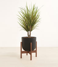 Load image into Gallery viewer, Stone Black stand:walnut