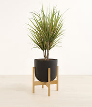 Load image into Gallery viewer, Stone Black stand:bamboo