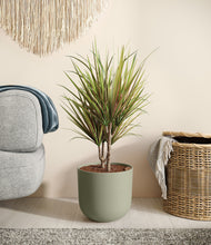 Load image into Gallery viewer, Sage Green