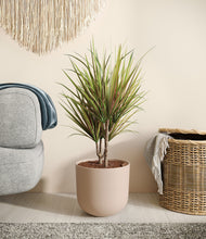 Load image into Gallery viewer, Sandy Pink