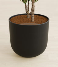 Load image into Gallery viewer, Stone Black stand:all