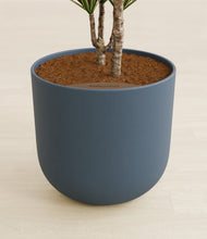 Load image into Gallery viewer, Iron Gray stand:all