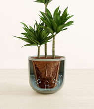Load image into Gallery viewer, Sage Green stand:all