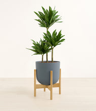 Load image into Gallery viewer, Iron Gray stand:bamboo