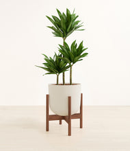 Load image into Gallery viewer, Natural Bamboo stand:walnut