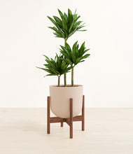 Load image into Gallery viewer, Sandy Pink stand:walnut