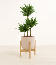 Load image into Gallery viewer, Sandy Pink stand:bamboo