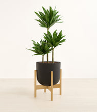 Load image into Gallery viewer, Stone Black stand:bamboo