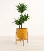 Load image into Gallery viewer, Sunset Orange stand:bamboo