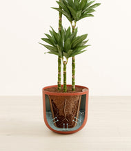 Load image into Gallery viewer, Sunset Orange stand:all