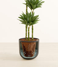 Load image into Gallery viewer, Sandy Pink stand:all