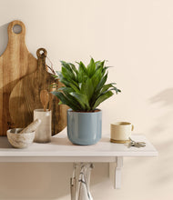Load image into Gallery viewer, Misty Blue