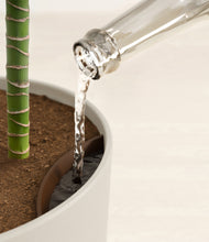 Load image into Gallery viewer, Natural Bamboo stand:all