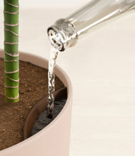 Load image into Gallery viewer, Sandy Pink stand:all