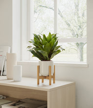 Load image into Gallery viewer, Cotton White stand:dark