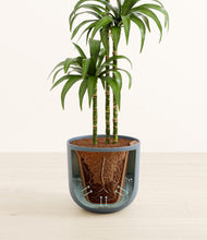 Load image into Gallery viewer, Stone Black stand:all