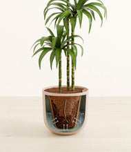 Load image into Gallery viewer, Iron Gray stand:all