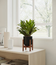Load image into Gallery viewer, Stone Black stand:dark
