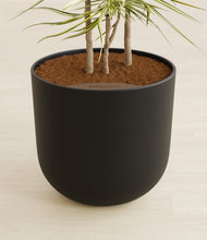 Load image into Gallery viewer, Stone Black stand:all