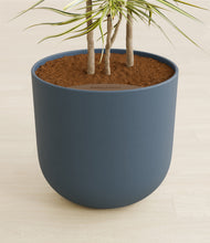 Load image into Gallery viewer, Iron Gray stand:all