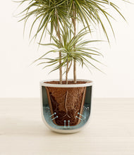 Load image into Gallery viewer, Natural Bamboo stand:all