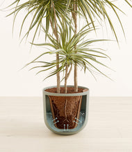 Load image into Gallery viewer, Natural Bamboo stand:all