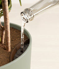 Load image into Gallery viewer, Sage Green stand:all