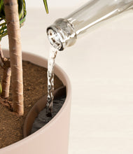 Load image into Gallery viewer, Sandy Pink stand:all