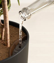 Load image into Gallery viewer, Stone Black stand:all