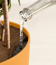 Load image into Gallery viewer, Sunset Orange stand:all