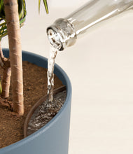 Load image into Gallery viewer, Iron Gray stand:all