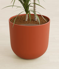 Load image into Gallery viewer, Earth Red stand:all