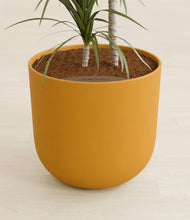 Load image into Gallery viewer, Sunset Orange stand:all