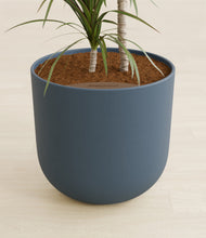 Load image into Gallery viewer, Iron Gray stand:all