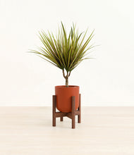 Load image into Gallery viewer, Earth Red stand:walnut