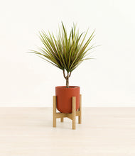 Load image into Gallery viewer, Earth Red stand:bamboo