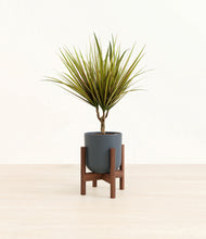 Load image into Gallery viewer, Iron Gray stand:walnut