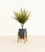 Load image into Gallery viewer, Iron Gray stand:bamboo
