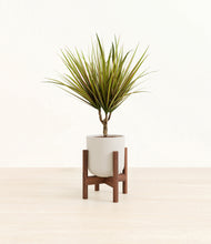 Load image into Gallery viewer, Natural Bamboo stand:walnut