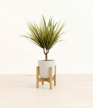 Load image into Gallery viewer, Natural Bamboo stand:bamboo