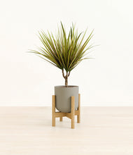 Load image into Gallery viewer, Sage Green stand:bamboo