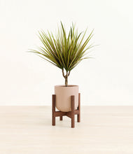 Load image into Gallery viewer, Sandy Pink stand:walnut