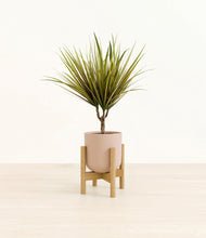 Load image into Gallery viewer, Sandy Pink stand:bamboo
