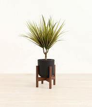 Load image into Gallery viewer, Stone Black stand:walnut