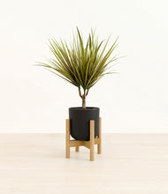 Load image into Gallery viewer, Stone Black stand:bamboo