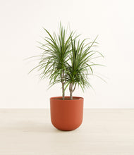 Load image into Gallery viewer, Earth Red*****Profile